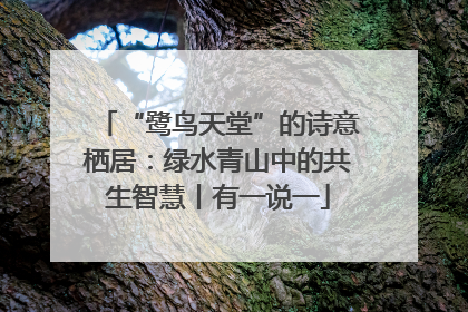“鹭鸟天堂”的诗意栖居：绿水青山中的共生智慧丨有一说一