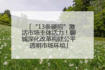 “13条硬招”激活市场主体活力！聊城深化改革构建公平透明市场环境