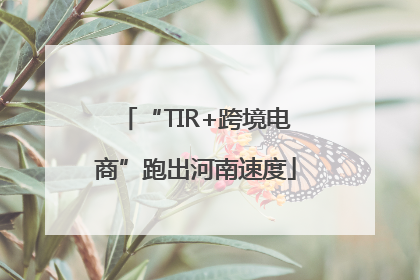 “TIR+跨境电商”跑出河南速度