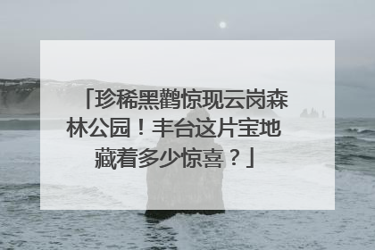 珍稀黑鹳惊现云岗森林公园！丰台这片宝地藏着多少惊喜？
