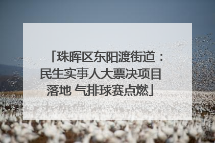 珠晖区东阳渡街道：民生实事人大票决项目落地 气排球赛点燃