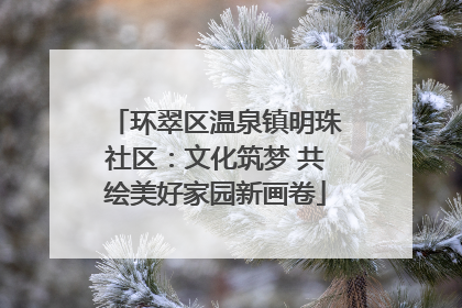 环翠区温泉镇明珠社区：文化筑梦 共绘美好家园新画卷