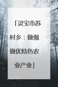 灵宝市苏村乡：做强做优特色农业产业