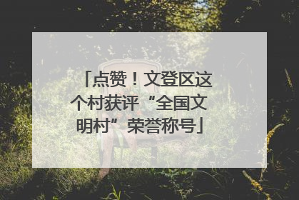 点赞！文登区这个村获评“全国文明村”荣誉称号