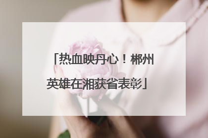 热血映丹心！郴州英雄在湘获省表彰