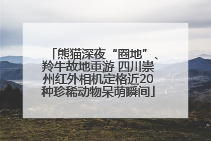 熊猫深夜“圈地”、羚牛故地重游 四川崇州红外相机定格近20种珍稀动物呆萌瞬间