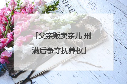 父亲贩卖亲儿 刑满后争夺抚养权
