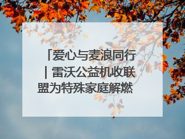 爱心与麦浪同行｜雷沃公益机收联盟为特殊家庭解燃“麦”之急
