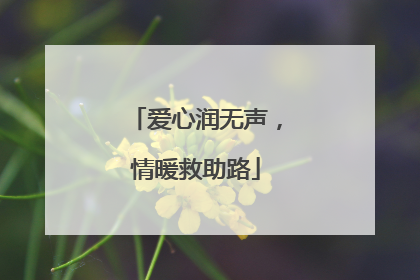 爱心润无声，情暖救助路