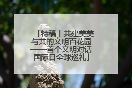 特稿丨共建美美与共的文明百花园——首个文明对话国际日全球巡礼