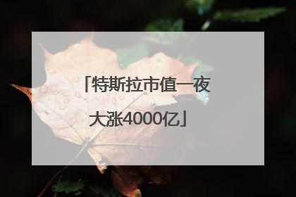 特斯拉市值一夜大涨4000亿