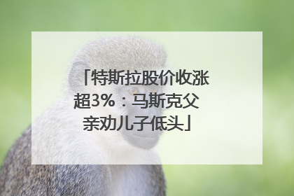 特斯拉股价收涨超3%：马斯克父亲劝儿子低头