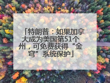 特朗普：如果加拿大成为美国第51个州，可免费获得“金穹”系统保护