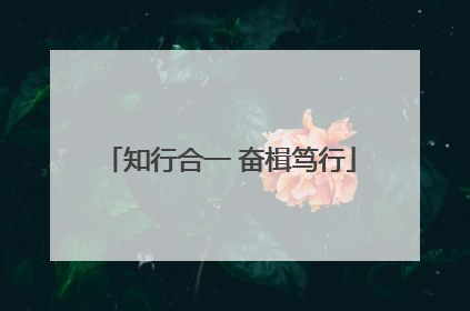 知行合一 奋楫笃行