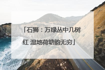 石狮：万绿丛中几树红 湿地荷塘韵无穷