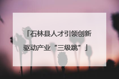 石林县人才引领创新驱动产业“三级跳”