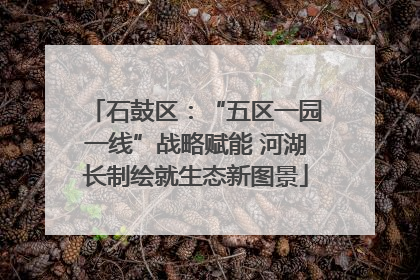 石鼓区：“五区一园一线”战略赋能 河湖长制绘就生态新图景