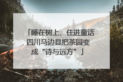 睡在树上、住进童话 四川马边县把茶园变成“诗与远方”