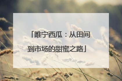 睢宁西瓜：从田间到市场的甜蜜之路