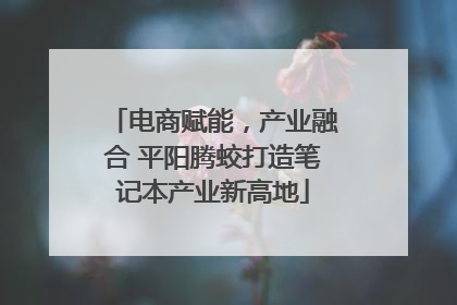 电商赋能，产业融合 平阳腾蛟打造笔记本产业新高地