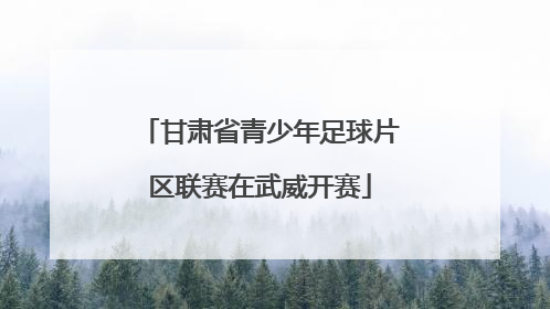 甘肃省青少年足球片区联赛在武威开赛