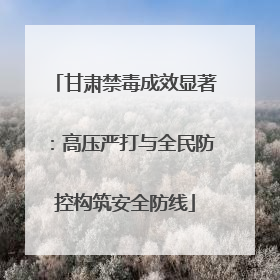 甘肃禁毒成效显著：高压严打与全民防控构筑安全防线