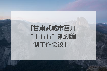 甘肃武威市召开“十五五”规划编制工作会议