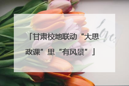 甘肃校地联动“大思政课”里“有风景”