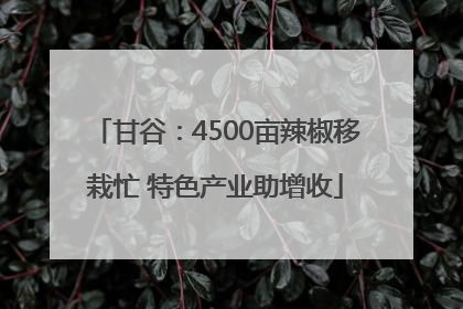 甘谷：4500亩辣椒移栽忙 特色产业助增收
