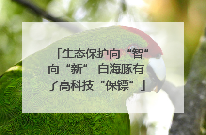 生态保护向“智”向“新” 白海豚有了高科技“保镖”