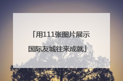用111张图片展示国际友城往来成就