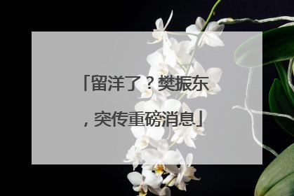 留洋了？樊振东，突传重磅消息