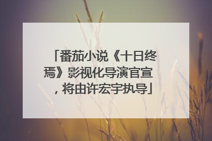番茄小说《十日终焉》影视化导演官宣，将由许宏宇执导