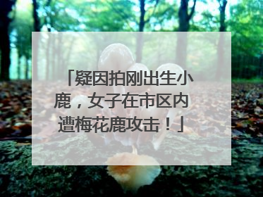 疑因拍刚出生小鹿，女子在市区内遭梅花鹿攻击！