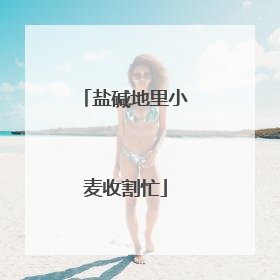 盐碱地里小麦收割忙
