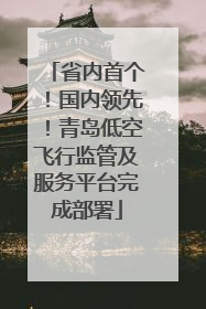 省内首个！国内领先！青岛低空飞行监管及服务平台完成部署