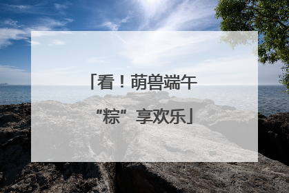 看！萌兽端午“粽”享欢乐
