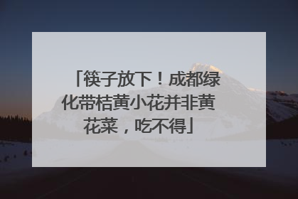 筷子放下！成都绿化带桔黄小花并非黄花菜，吃不得