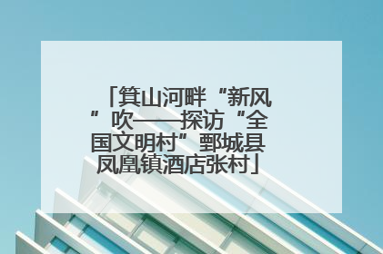 箕山河畔“新风”吹——探访“全国文明村”鄄城县凤凰镇酒店张村