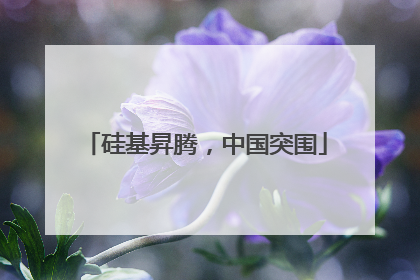 硅基昇腾，中国突围