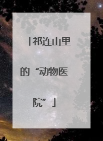 祁连山里的“动物医院”