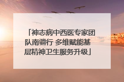 神志病中西医专家团队南疆行 多维赋能基层精神卫生服务升级