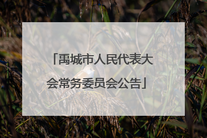 禹城市人民代表大会常务委员会公告