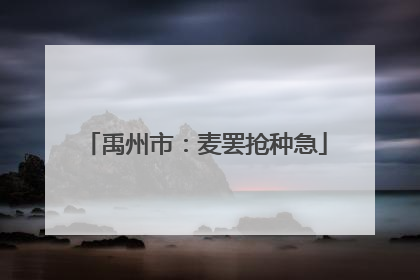 禹州市：麦罢抢种急