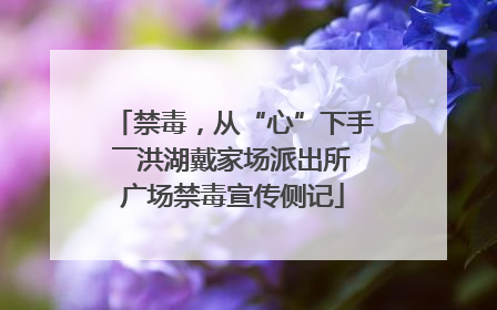 禁毒，从“心”下手――洪湖戴家场派出所广场禁毒宣传侧记