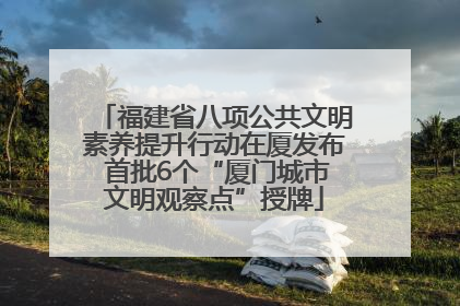 福建省八项公共文明素养提升行动在厦发布 首批6个“厦门城市文明观察点”授牌