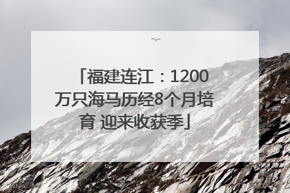福建连江：1200万只海马历经8个月培育 迎来收获季