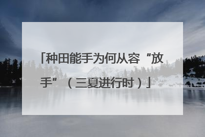 种田能手为何从容“放手”（三夏进行时）