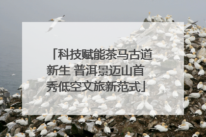 科技赋能茶马古道新生 普洱景迈山首秀低空文旅新范式