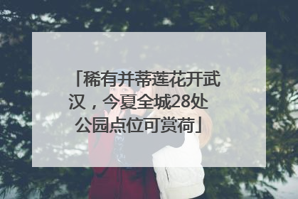 稀有并蒂莲花开武汉，今夏全城28处公园点位可赏荷